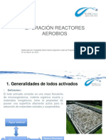 Reactores Aerobios 03-2023