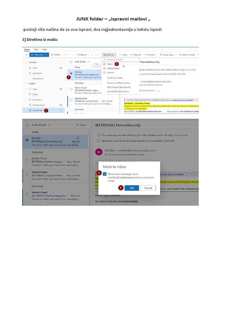 O365 JUNK Mails PDF