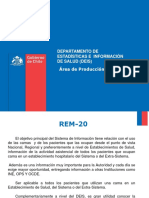 Rem 20 Censo de Camas Diario