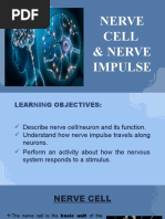 Nerve Cell PPT 1