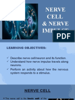 Nerve Cell PPT 1