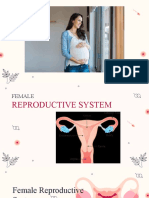 Female Reproductive System