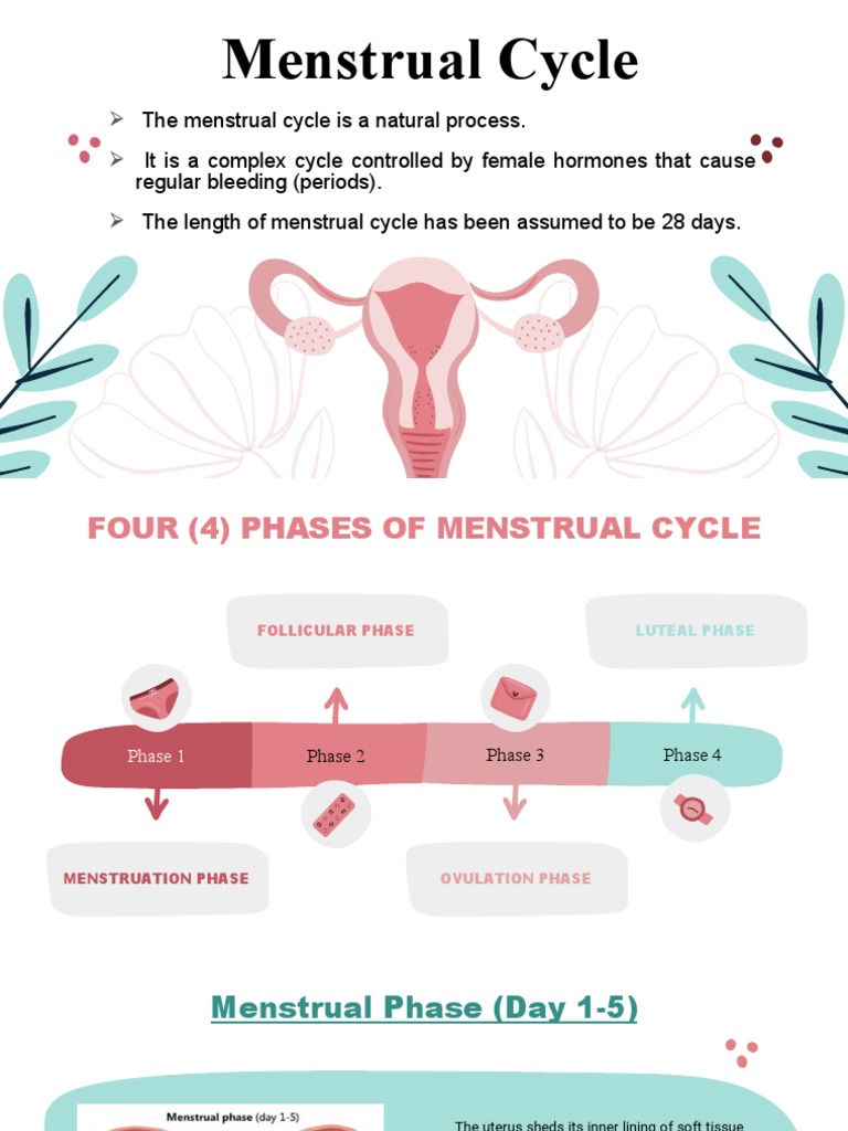 WHAT IS MENSTRUAL CYCLE EXPLAIN THE PHASES OF MENSTRUAL CYCLE visual data 2