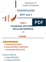 BFKT - Curs - 06 - 2023 - Fiziopatologia AFECTIUNILOR VASCULARE PERIFERICE