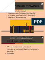 What Is Sustainable Strategy - Lecture 1-2