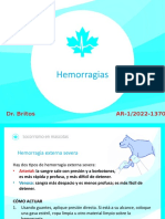 4 - Hemorragias