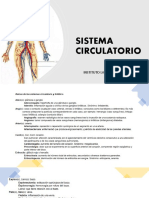 Sistema circulatorio: actividades para aprender terminología y flujo sanguíneo