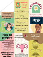 Brochure Spa Margarita Amarillo, Verde, Blanco, Rosa