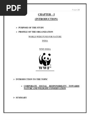 Final Project On Wwf By Prateek Gupta Under Guidance Of Dr - 