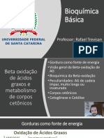 UFSC BQA BetaOxidaçãoAG+CorposCetônico