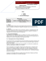 Informe de Obra Guariquito