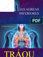 Vias Aerear Inferiores