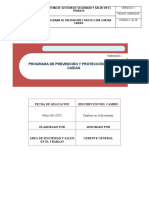 Programa de Proteccion Contra Caidas