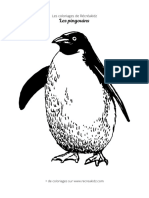 Coloriage Pingouin Realiste