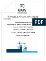 Proyectos de Importacion 8 Upav