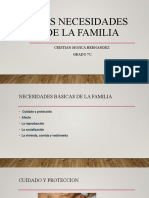 Las Necesidades de La Familia