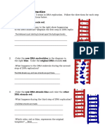 Kami Export - Luuk Van Meurs - DNA Replication Worksheet