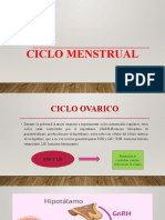 Ciclo Ovarico