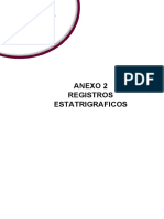 Anexo 2 - Registro Estatrigrafico-Perfil Est Ie 7074 V1