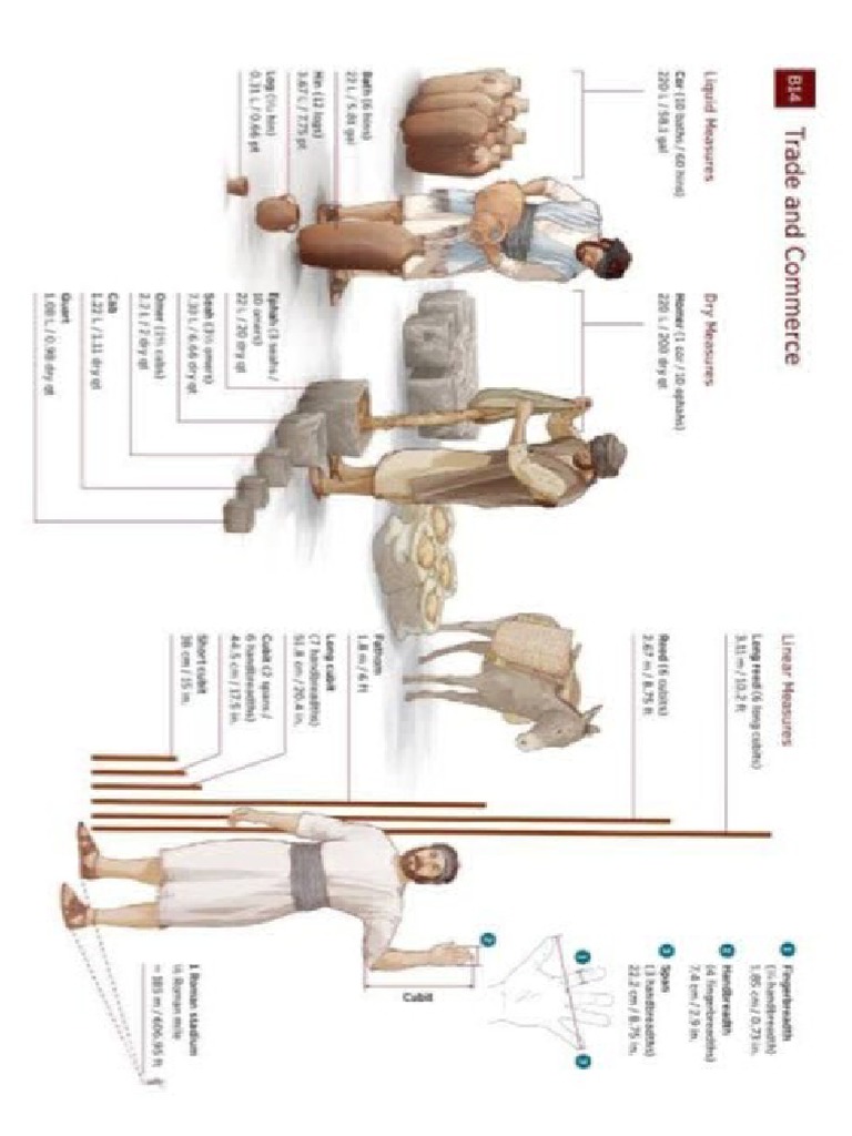 bible weights and measures PDF