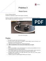 Documento Sumo