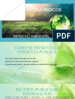 Ambiental 01