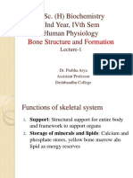 BC (H) - IV-Human Physiology Bone Structure and Formation-1