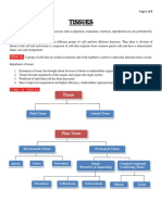 Tissues in Plants and Animals
