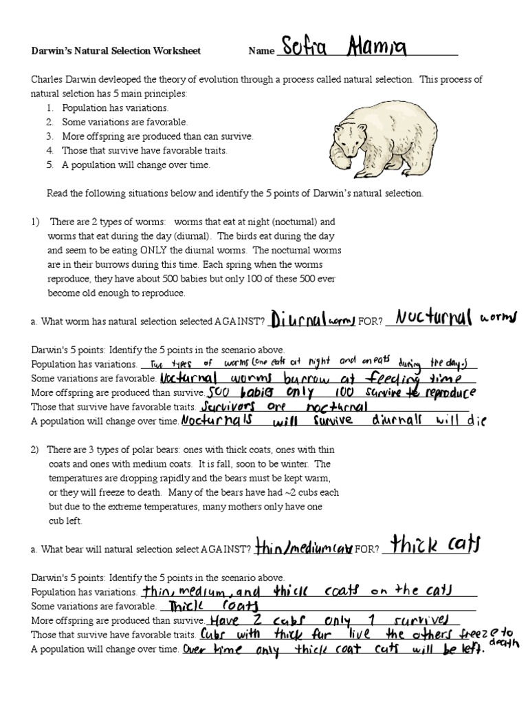 Darwin’s natural selection | PDF | Natural Selection | Reproduction