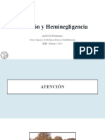 Atención y Heminegligencias