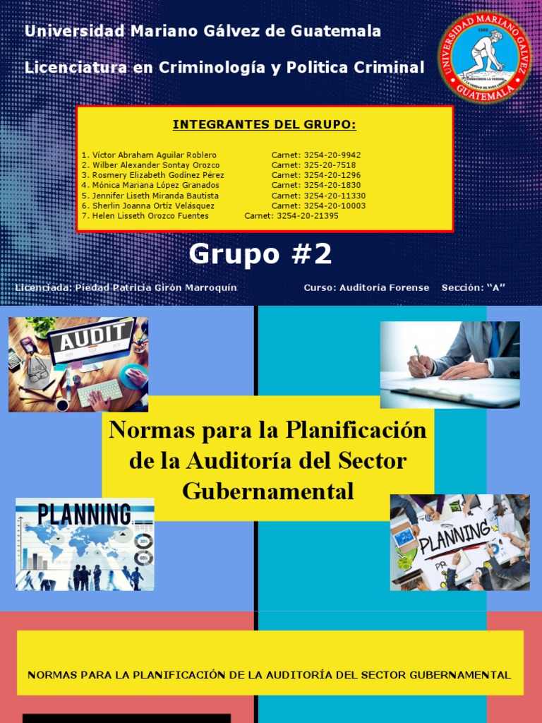 Normas para La Planificación de La Auditoría Del Sector Gubernamental | PDF