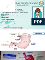 Gastritis PPT4456