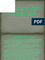 Family Nursing Care Plan