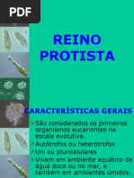 Reino protista