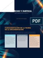 Derecho y Justicia - Argumentación Jurídica