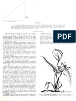 The Genus Zantedeschia: A Revision of the African Arum Lilies