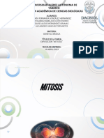 Exposición - Mitosis-1