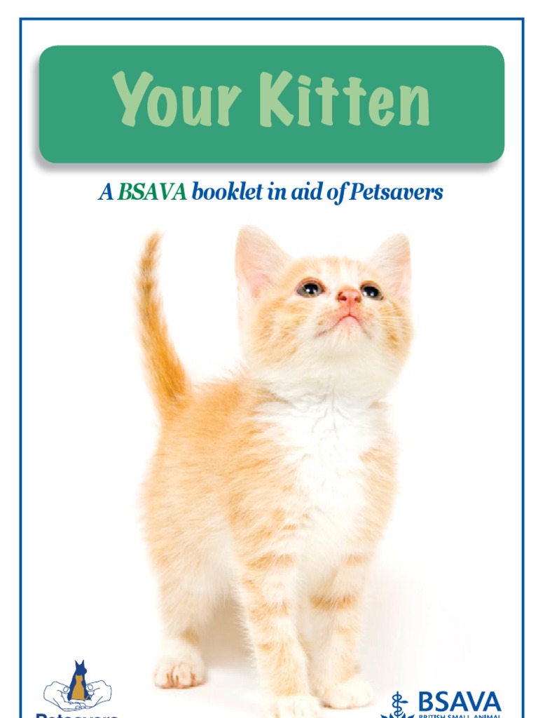 Kitten Guide Web | PDF | Neutering | Cats