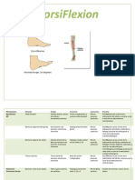 Gionometria Humana de Musculos y Funcion