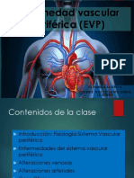 EMQ Vascular Periferico Pame 20 Final