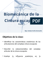 Clase 7.1 - BMC Cintura Escapular I