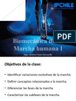 Clase 16 - BMC Marcha Humana