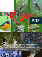 As Aves-1