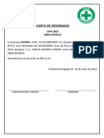 Carta de Designado Modelo