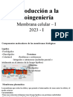 Membrana Plasmatica I