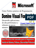 62129357 Experto en Visual Foxpro 9 SP2