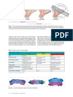 Edentulous Esthetic Risk Assessment Implant