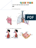 Exam Review Respiratory, Circulatory