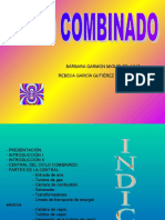 Ciclo Combinado