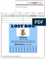A Lost Dog - Exercises 4